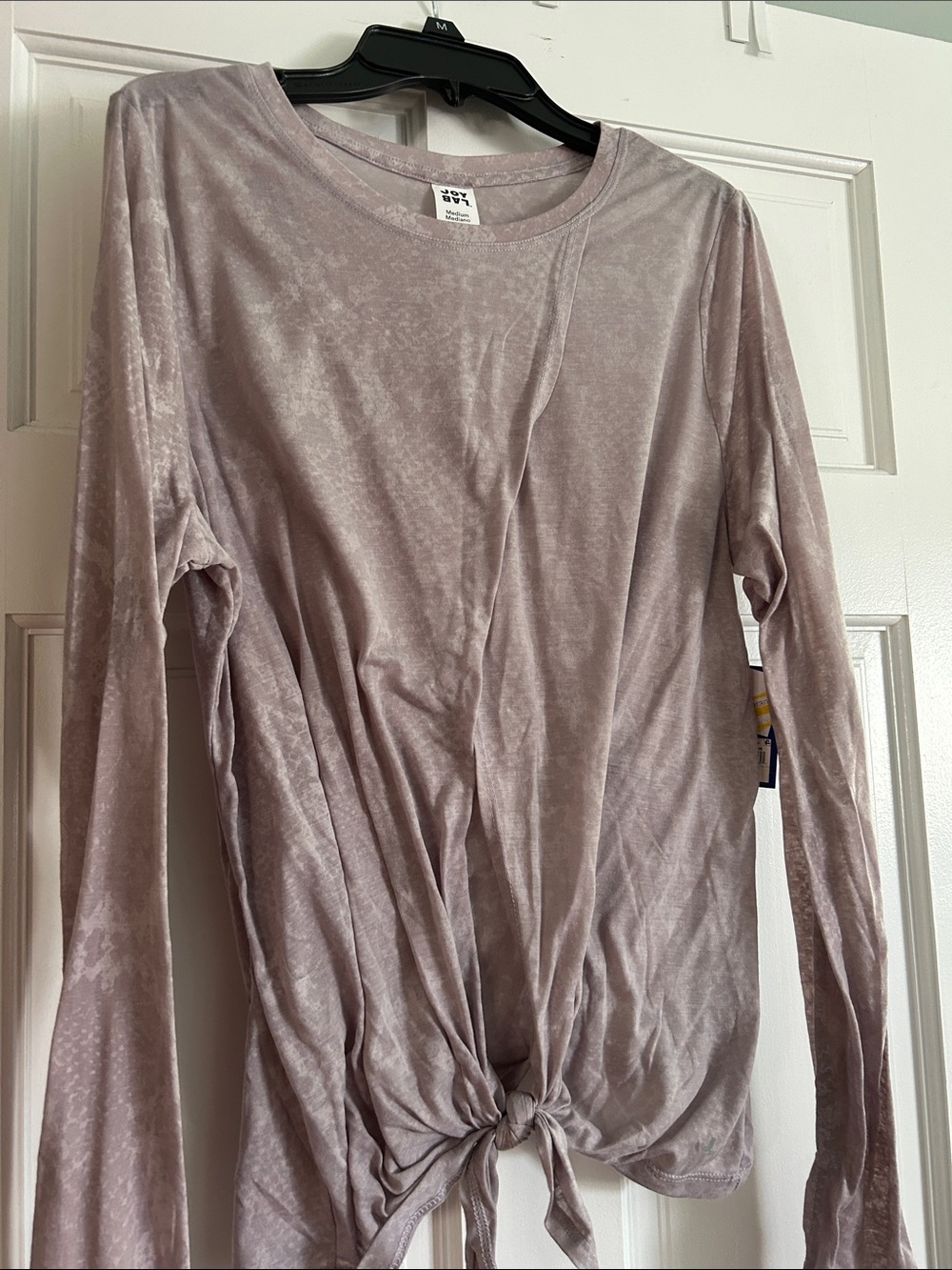 JoyLab Mauve Velvet Tie-Hem Long Sleeve Top